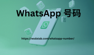 WhatsApp 号码
