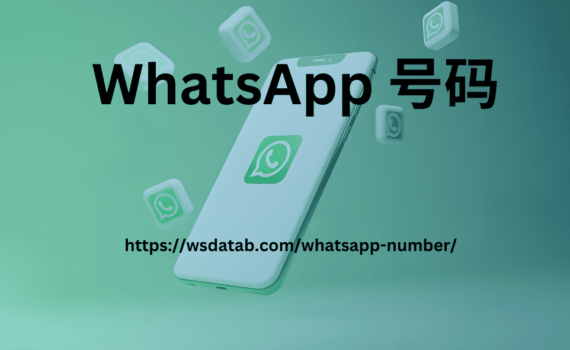 WhatsApp 号码